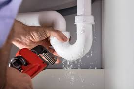 Best Commercial Plumbing Services  in Forest Hills, TN